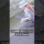 これからの季節に釣れる魚🐟 #fishing #釣り #マルコス