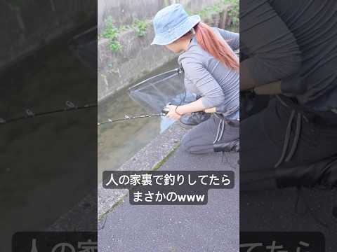 これからの季節に釣れる魚🐟 #fishing #釣り #マルコス