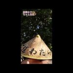 💓渡瀬温泉で陽の光を浴びて大解放💓#shorts